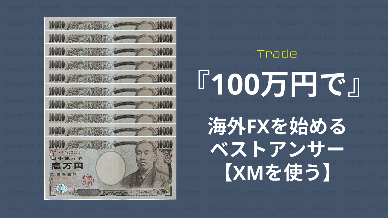 海外FX_100万