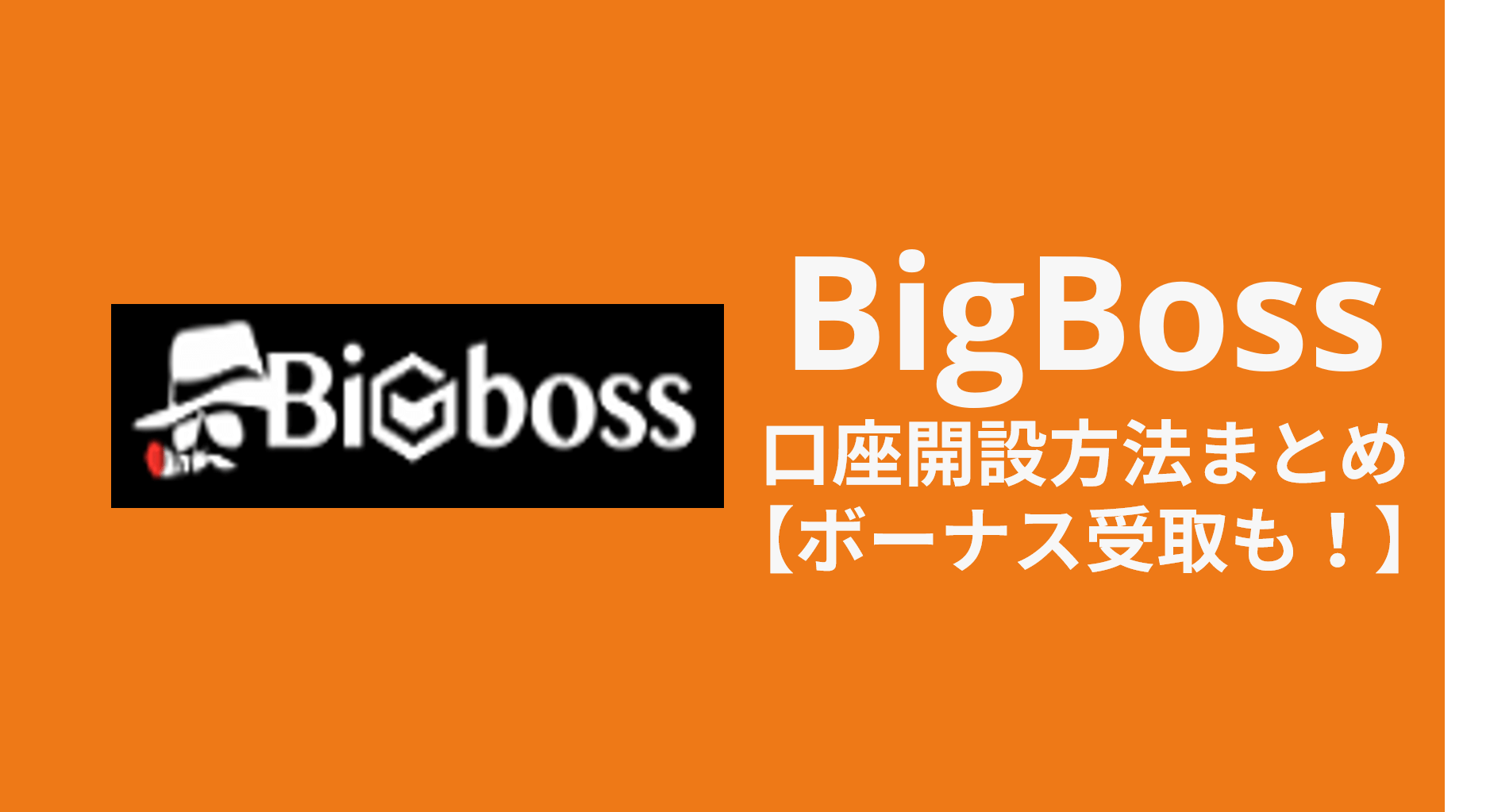 BigBoss_口座開設